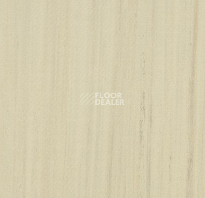 Кварцвиниловые полы Forbo Marmoleum Modular t3575 white cliffs фото 1 | FLOORDEALER
